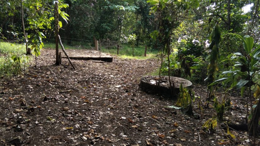 An Island Opportunity with Vision Already in Motion