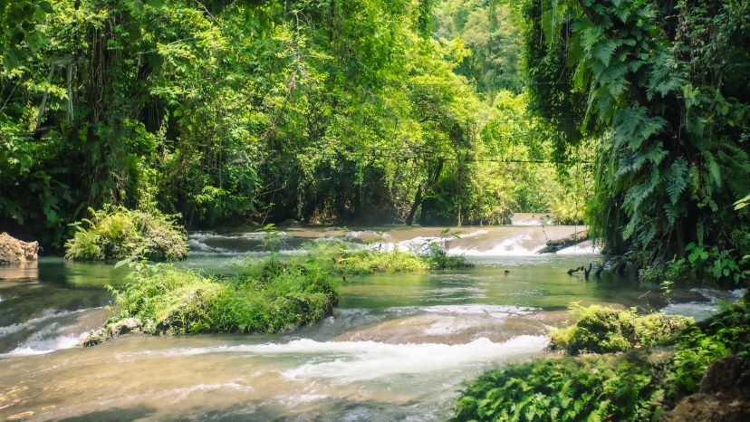 EDEN ON THE RIVER