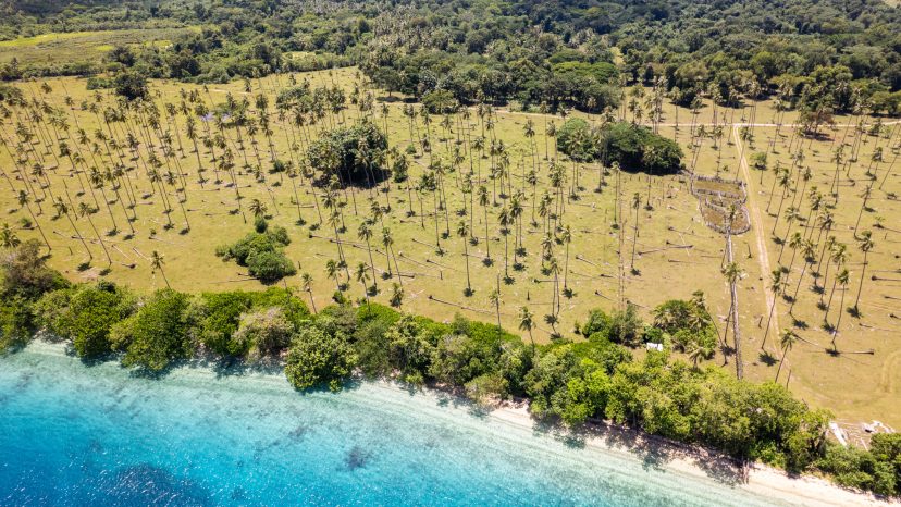 Stunning Rural Paradise on Aore Island, Santo, Vanuatu