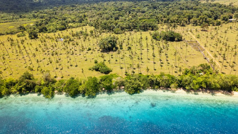 Stunning Rural Paradise on Aore Island, Santo, Vanuatu, photo 2 of 5