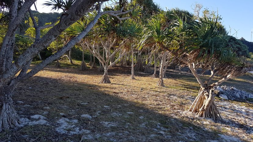 Bukura White Sandy Beaches Starting from