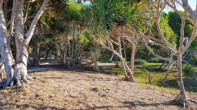 Bukura White Sandy Beaches Starting from