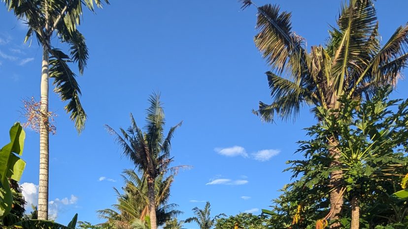 Lagoonfront Living at Club Hippique – Your Island Escape, photo 2 of 10