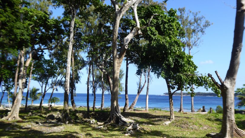 RARE COASTAL OPPORTUNITY IN PANGONA ESTATE