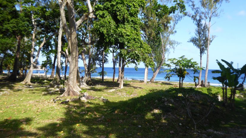 RARE COASTAL OPPORTUNITY IN PANGONA ESTATE
