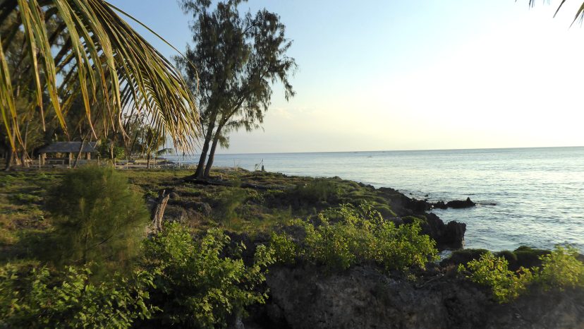 RARE COASTAL OPPORTUNITY IN PANGONA ESTATE