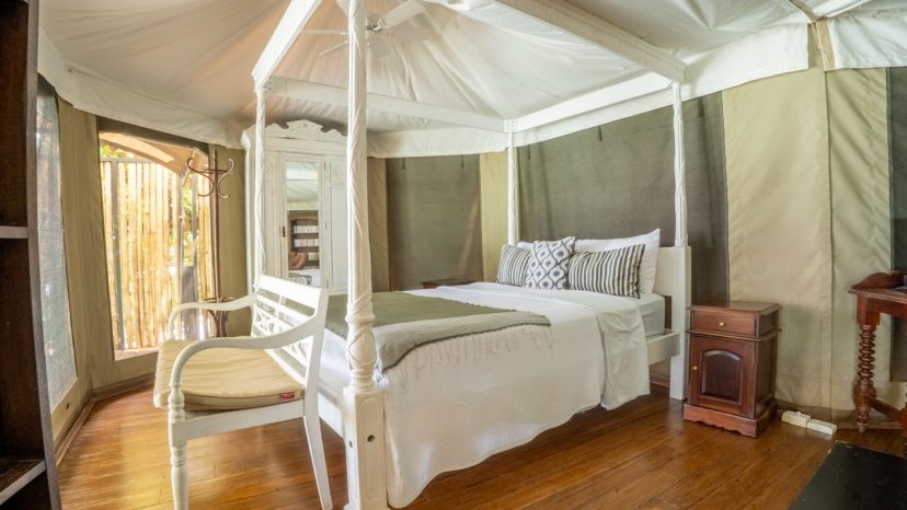 Hidden Cove Eco Retreat - Waterfront Eco-Luxury Investment