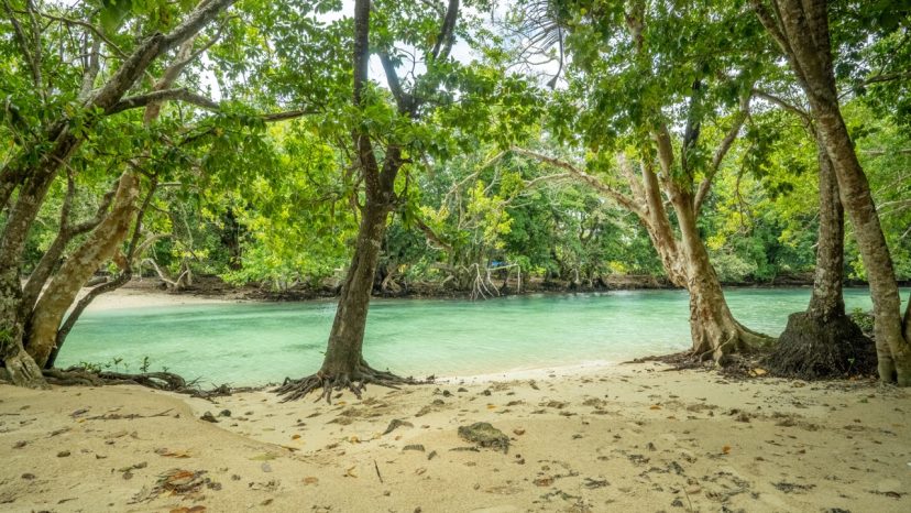 A Spectacular 10.2-Hectare Dual-Waterfront Estate on Santo's Iconic Riri River