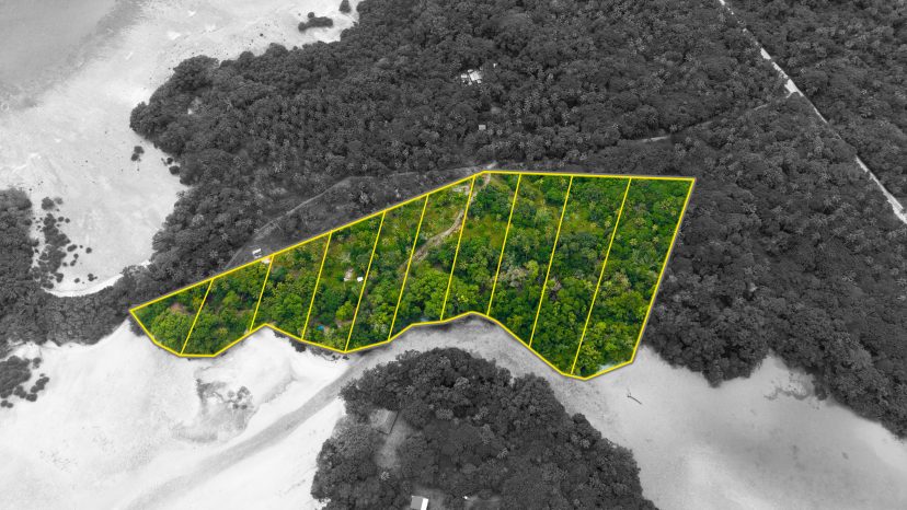 Exclusive Release: 10 Prime Riverfront Lots on Santo's Famous Riri River