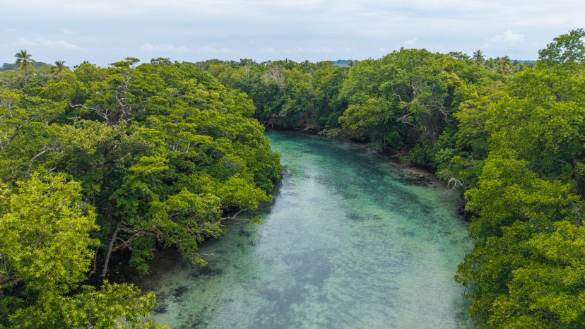 Exclusive Release: 10 Prime Riverfront Lots on Santo's Famous Riri River