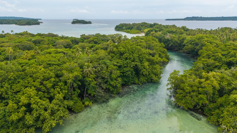 Exclusive Release: 10 Prime Riverfront Lots on Santo's Famous Riri River