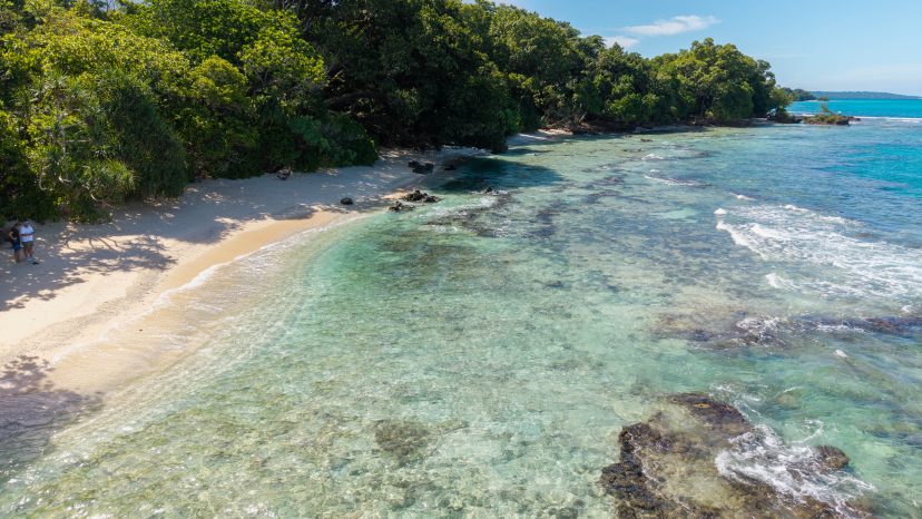 Rare 3-Hectare Beachfront Estate – Santo Waterfront Opportunity