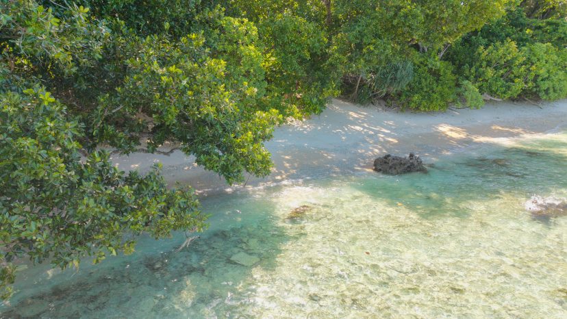Rare 3-Hectare Beachfront Estate - Santo Waterfront Opportunity