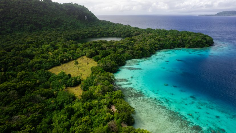 Dolphin Island