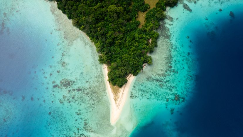 Dolphin Island