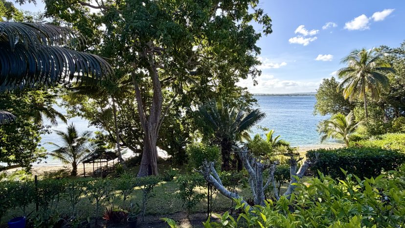 Aore Hibiscus Retreat – Tropical Island Lifestyle Investment