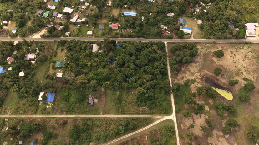 Secret Gardens, Mele Maat. One Hectare of Jungle Magic, Ready for Its Second Life.