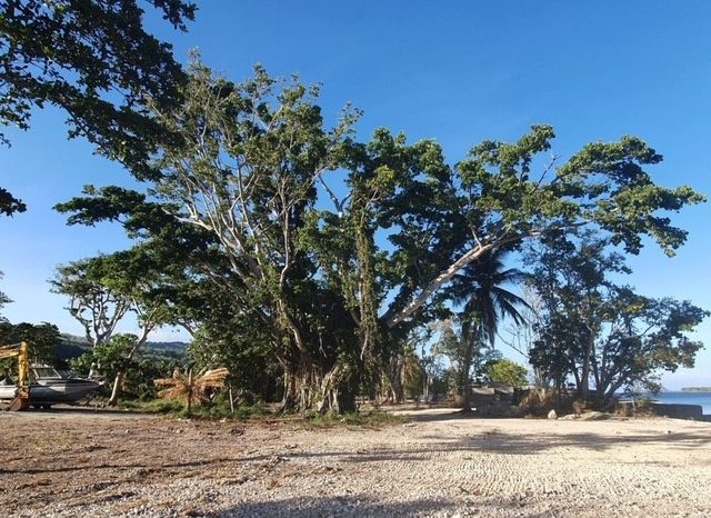 Dream Waterfront Paradise Awaits at Havannah Harbour