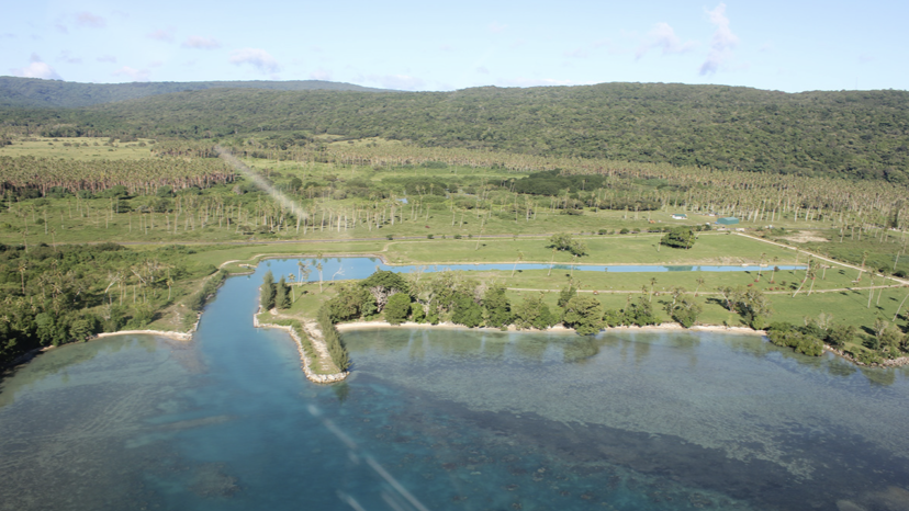 Undine Bay Marina