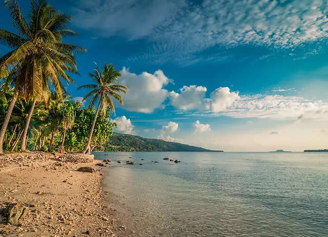 Affordable land in Havannah Harbour
