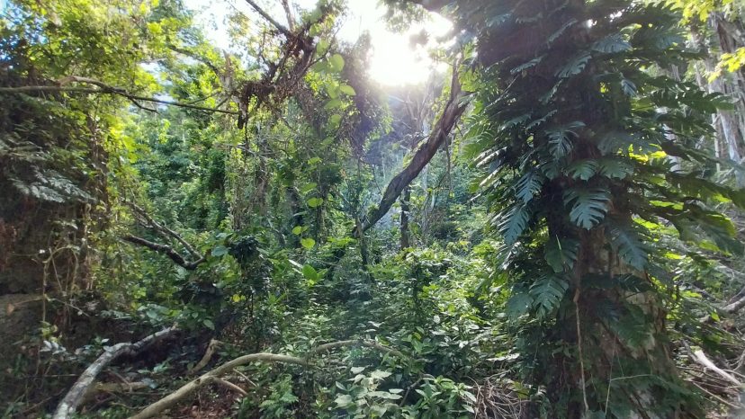 300 M Pristine Waterfront Property in Tukutuk, Vanuatu