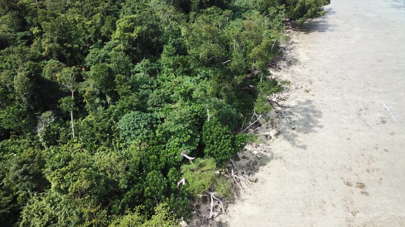 42m Affordable Water Frontage