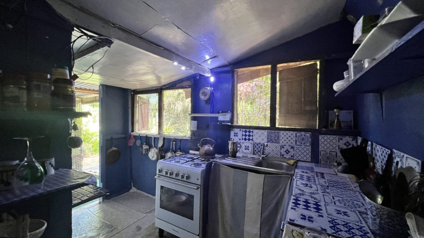 Eclectic Oasis on Expansive Riverfront Land