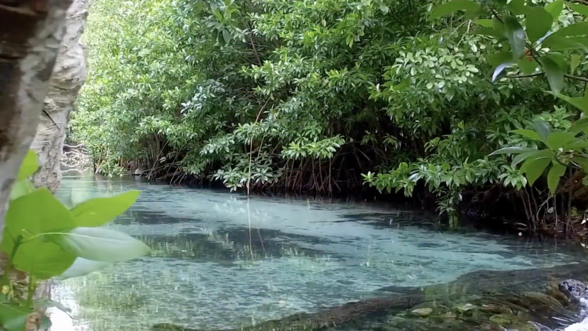 Where the River Meets the Sea – Coastal Paradise in Santo