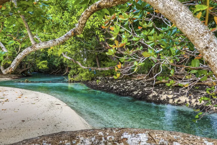 Where the River Meets the Sea - Coastal Paradise in Santo