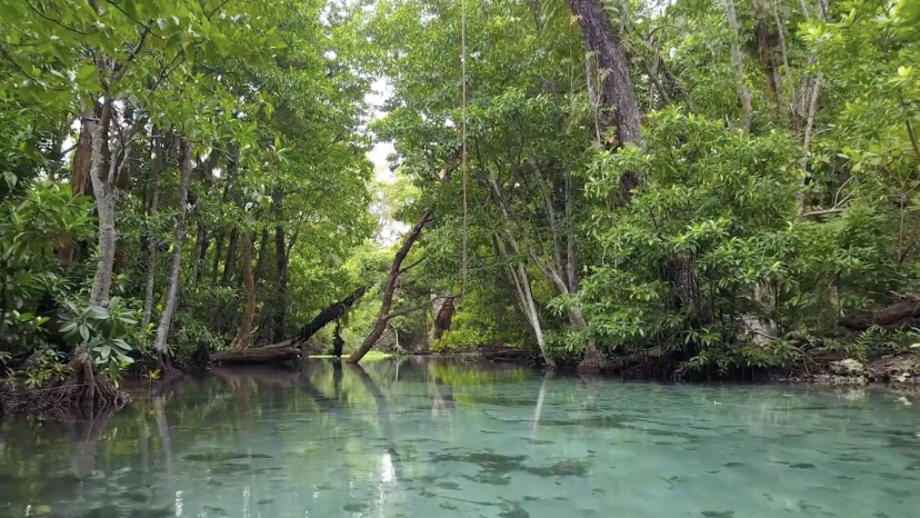 Where the River Meets the Sea - Coastal Paradise in Santo