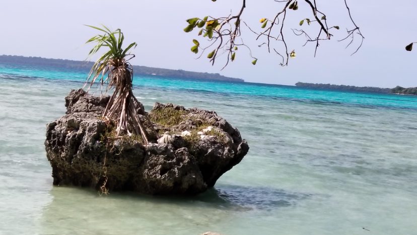 An Island Opportunity with Vision Already in Motion