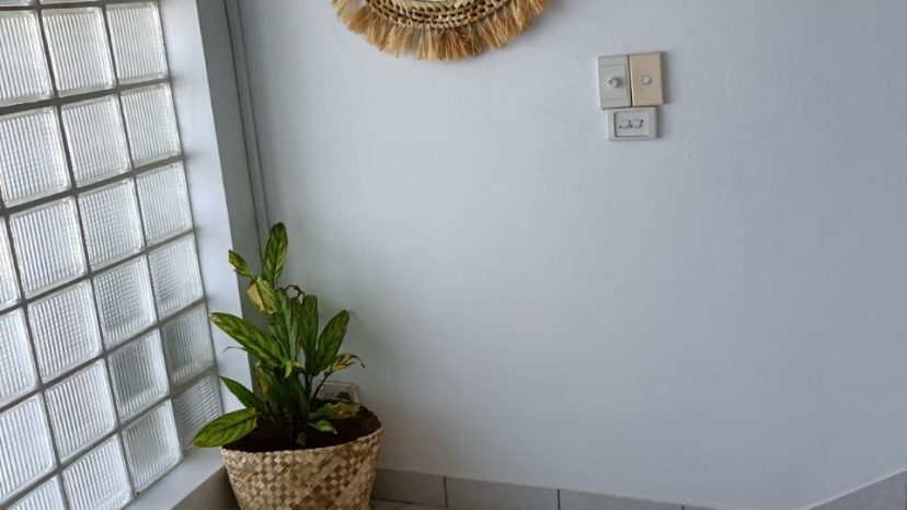 Spacious 3-Bedroom Apartment with Courtyard in Elluk
